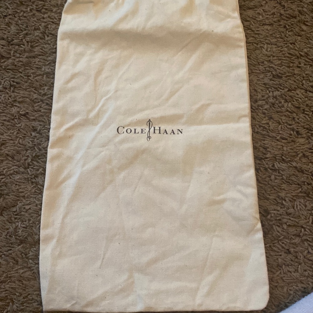 Cole Haan shoe bag Euc